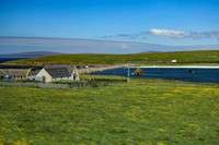 Orkney_18