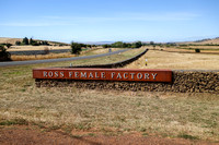 "Female Factory"