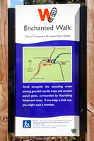 The "Enchanted Walk"