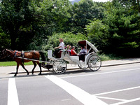 Central Park_ 001