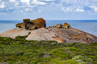 10_ Kangaroo Island - Remarkable Rocks