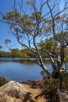 Lake Dobson