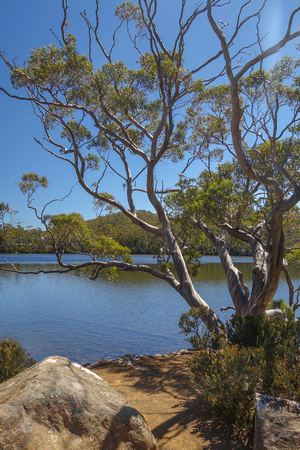 Lake Dobson