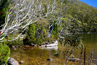 Lake Dobson