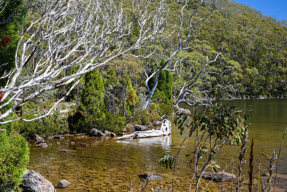 Lake Dobson