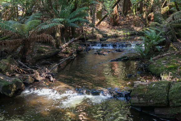 Russell Falls