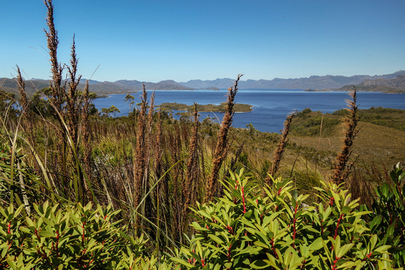 Lake Pedder