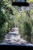 The "road"