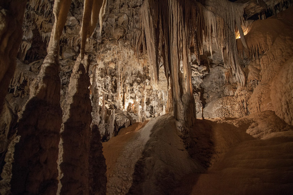 Marakooopa Cave - Mole Creek, near Deloraine