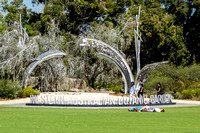 08_ Perth Kings Park