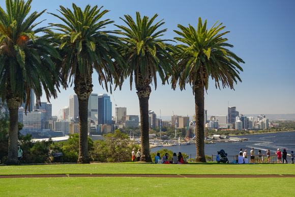 06_ Perth Kings Park