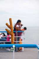 vehicle ferry