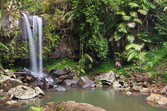 Curtis Falls, Mt Tamborine