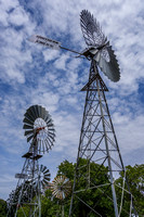 Cobbs & Co Museum