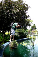 Laurel Bank Park Gardens
