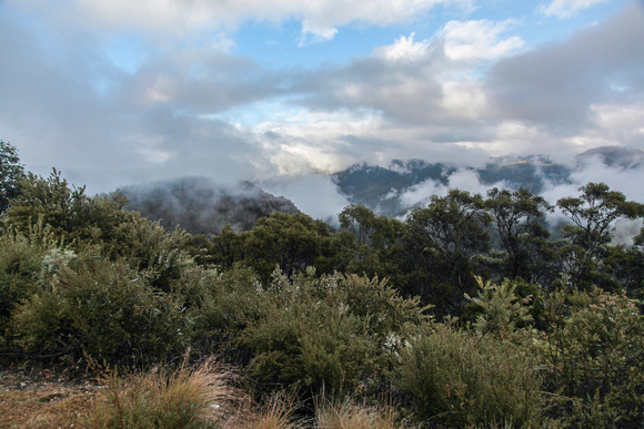 Foggy start to the day