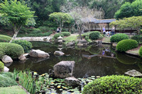 Japanese garden in winter