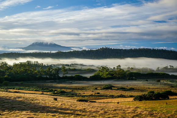 Deloraine vista