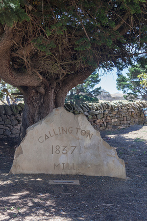 Callington Mill