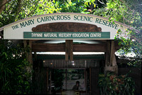 Mary Cairncross Reserve