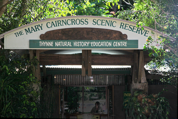 Mary Cairncross Reserve