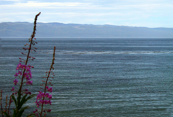 02 across the Straight of Juan de Fuca001