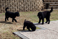 Lucy with her mother and grandmother